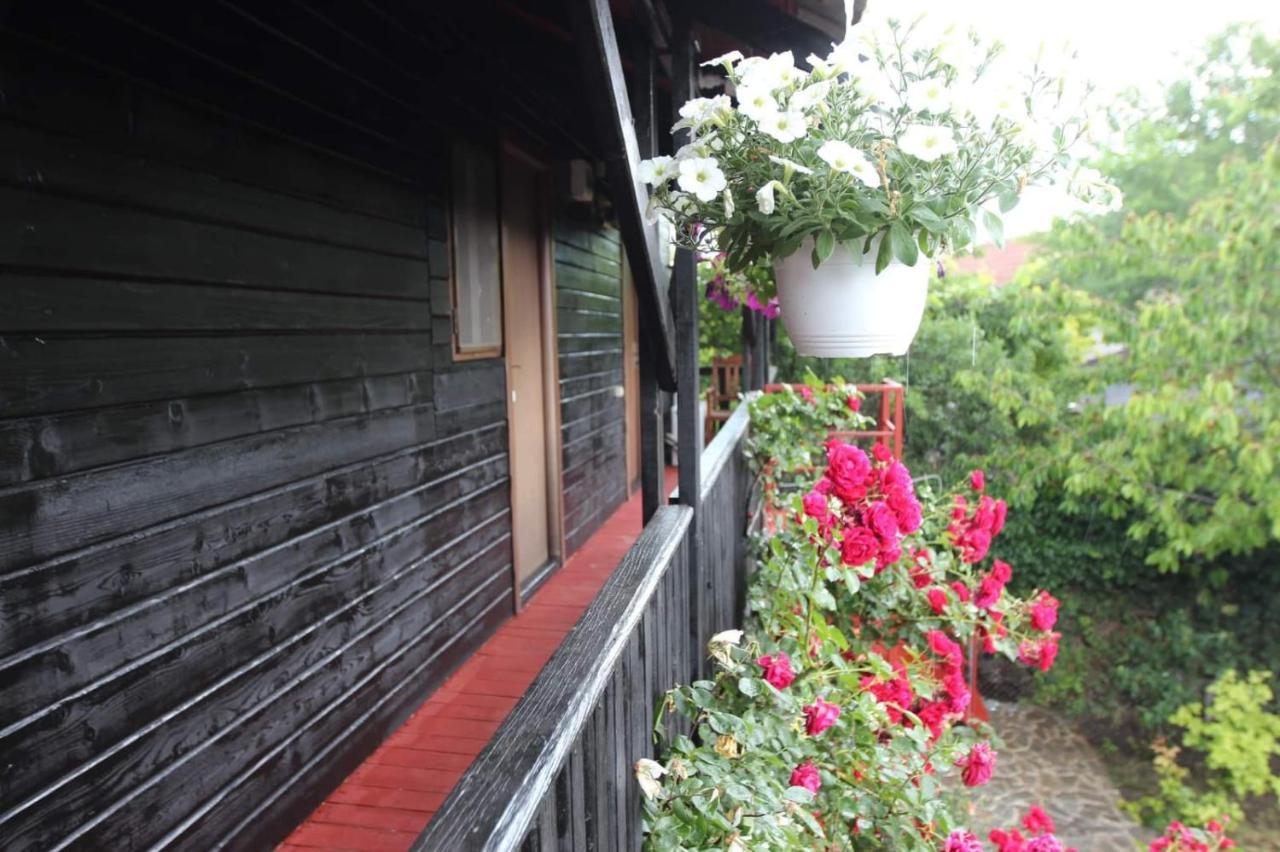 C Dor De Vama Bedrooms Vama Veche Exteriör bild